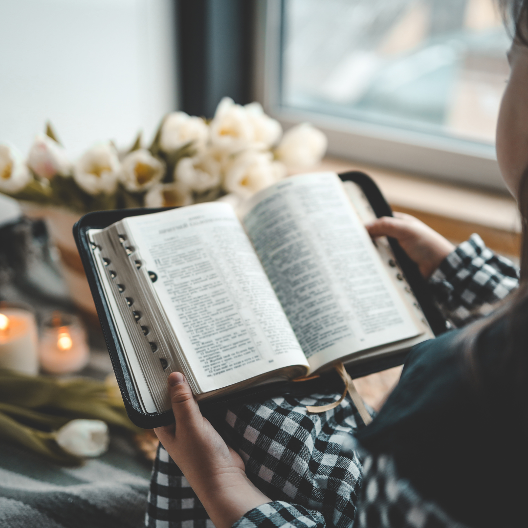 Encountering the God Who Sees You: A Conversation with Stephanie Palmer